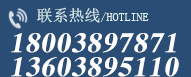 0391-8865551